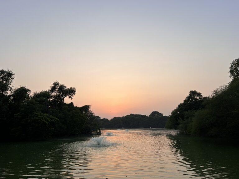 New Moon Reset: Easing into the End of the Year